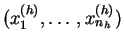 $ (x^{(h)}_1,\ldots, x^{(h)}_{n_h})$