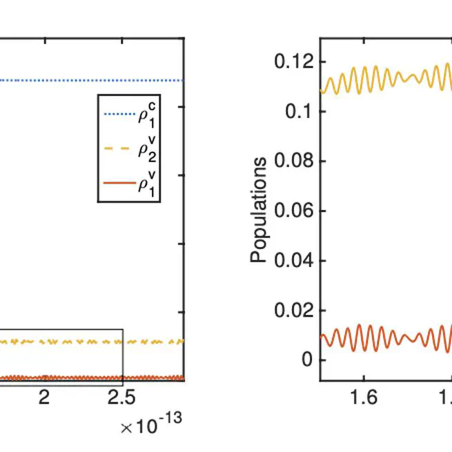 On a Bloch-type model with electron-phonon interactions: modeling and numerical simulations