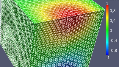 HAMM featured image
