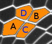 Image topo-color-label-b