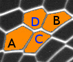 Image topo-color-label-c