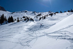 Images/2752/_1230122Icon.jpg