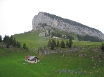 Images/55/trav_chartreuse00053Icon.jpg