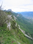 Images/55/trav_chartreuse00322Icon.jpg