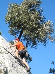 Images/673/Dentelles_40Icon.JPG