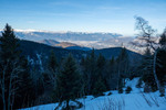 Images/2745/_1220690Icon.jpg