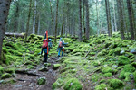Images/2747/_1220729Icon.jpg