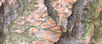 Images/2750/itiIcon.jpg