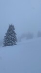 Images/2751/7rKnPIcon.jpg
