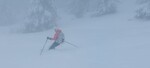 Images/2751/Zp5LrIcon.jpg