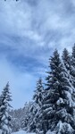 Images/2751/giZYDIcon.jpg