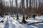 Images/2754/_1230193Icon.jpg