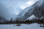 Images/2755/_1230235Icon.jpg