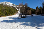 Images/2760/_MGL3847Icon.jpg