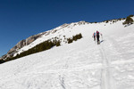 Images/2760/_MGL3854Icon.jpg