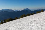 Images/2760/_MGL3855Icon.jpg