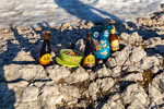 Images/2760/_MGL3863Icon.jpg