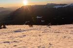Images/2760/_MGL3904Icon.jpg
