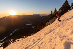 Images/2760/_MGL3962Icon.jpg