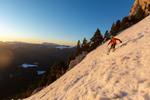 Images/2760/_MGL3989Icon.jpg