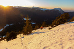 Images/2760/_MGL4023Icon.jpg