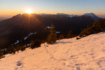 Images/2760/_MGL4028Icon.jpg