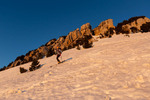 Images/2760/_MGL4033Icon.jpg