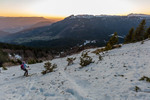 Images/2760/_MGL4077Icon.jpg