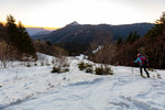 Images/2760/_MGL4117Icon.jpg