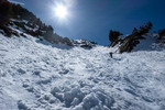 Images/2763/_1230478Icon.jpg