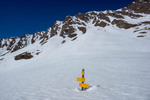 Images/2765/_1230633Icon.jpg