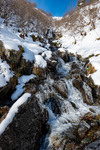 Images/2768/_1240019Icon.jpg