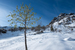 Images/2768/_1240027Icon.jpg