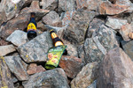 Images/2769/_1240125Icon.jpg