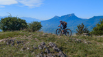 Images/2628/vtt02Icon.jpg